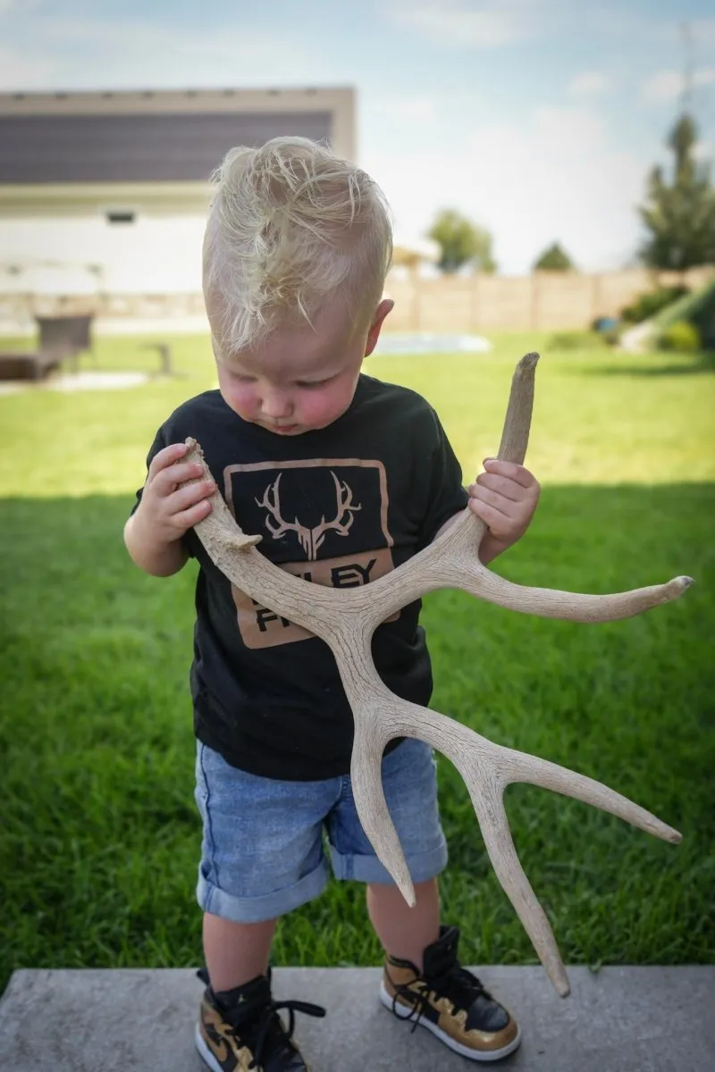 Toddler Logo Box Tee